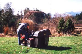 [Ron mowing lawn in March]