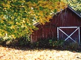 [Barn in Autumn]